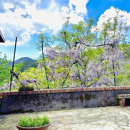 Ferienhaus Artists' Near Cinque Terre - 4 Bedrooms, Large Terrace, Great Views