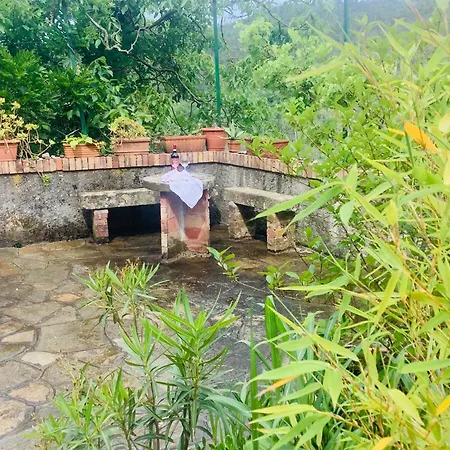 Σπίτι διακοπών Artists' Near Cinque Terre - 4 Bedrooms, Large Terrace, Great Views *