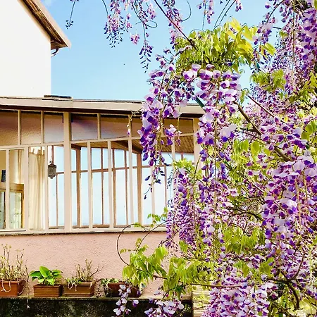 Artists' Near Cinque Terre - 4 Bedrooms, Large Terrace, Great Views * Groppo (La Spezia)