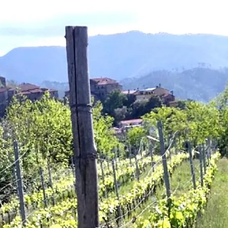 Artists' Near Cinque Terre - 4 Bedrooms, Large Terrace, Great Views Dom wakacyjny *