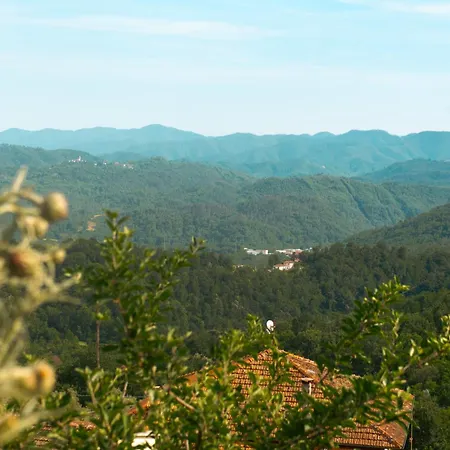 Artists' Near Cinque Terre - 4 Bedrooms, Large Terrace, Great Views * Groppo (La Spezia)