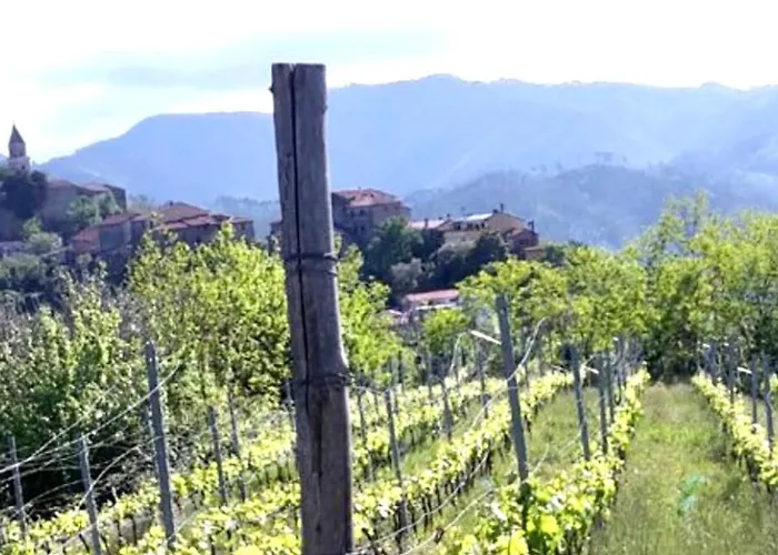 Artists' Near Cinque Terre - 4 Bedrooms, Large Terrace, Great Views Tatil Evi *