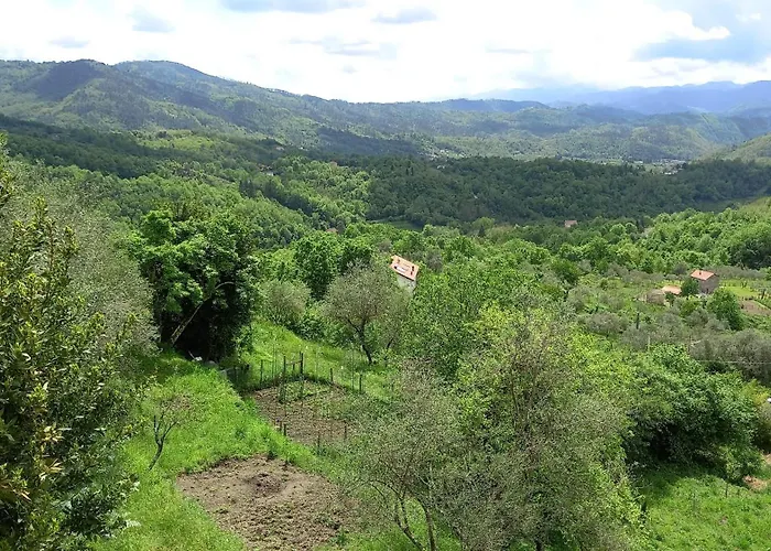 Artists' Near Cinque Terre - 4 Bedrooms, Large Terrace, Great Views Tatil Evi *